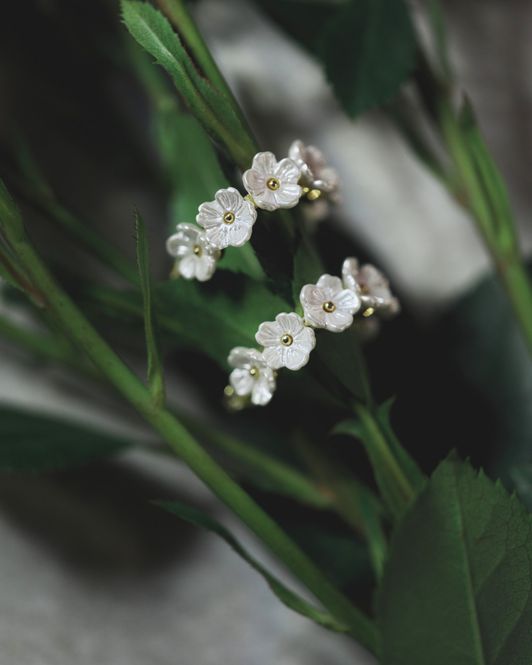 Hovedbilde SEVEN BLOOMS 