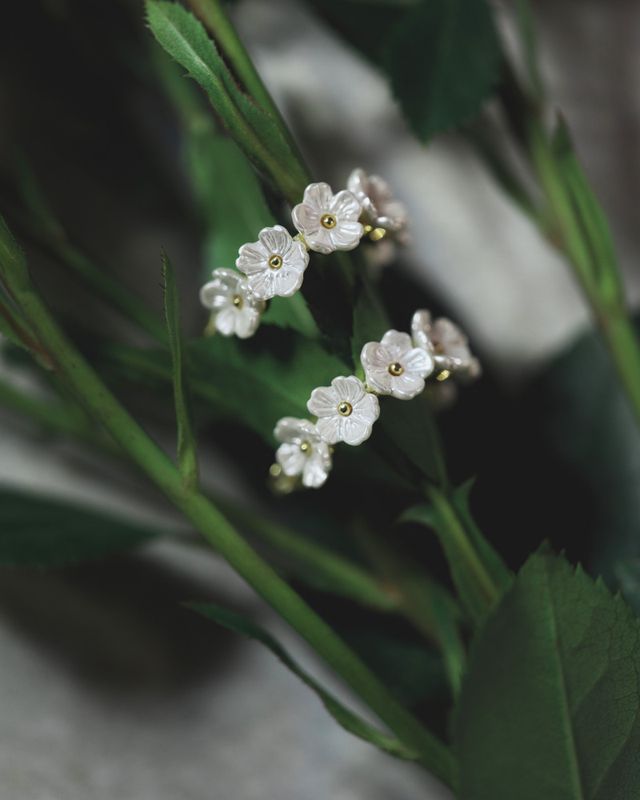 SEVEN BLOOMS 